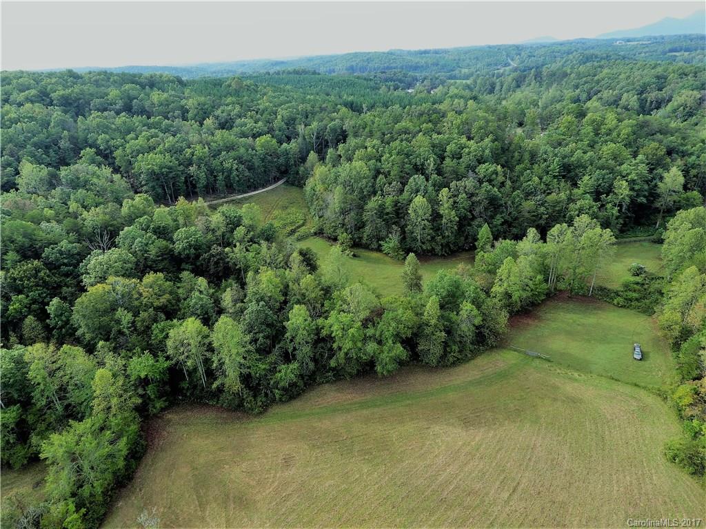 1270 Rock Spring Road Mill Spring, NC 28756 - Photo 11 of 21
