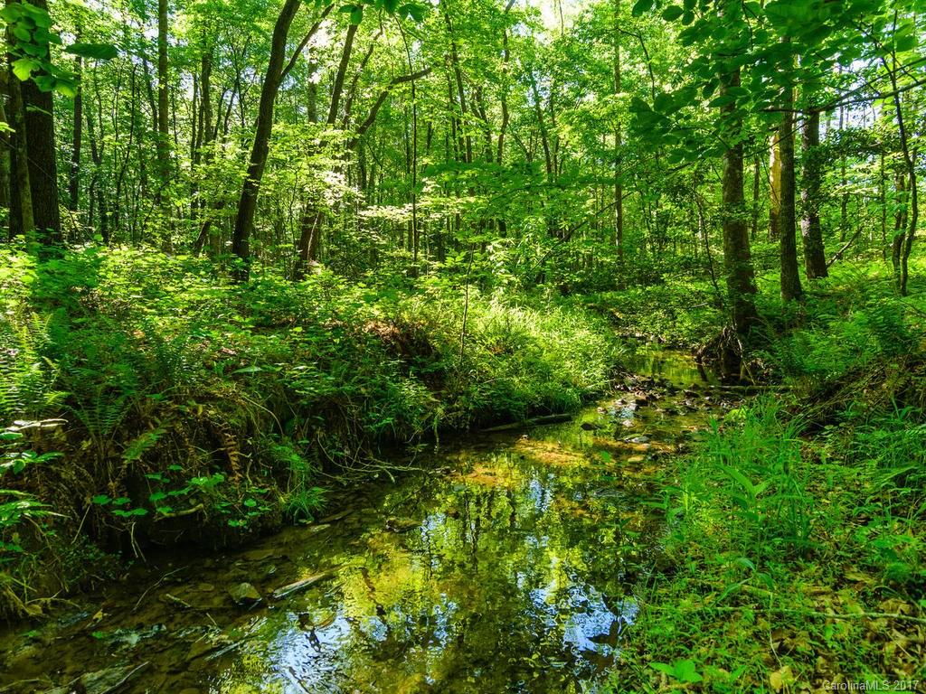 1270 Rock Spring Road Mill Spring, NC 28756 - Photo 16 of 21