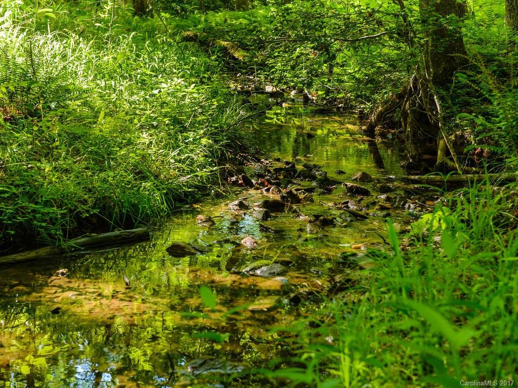 1270 Rock Spring Road Mill Spring, NC 28756 - Photo 17 of 21