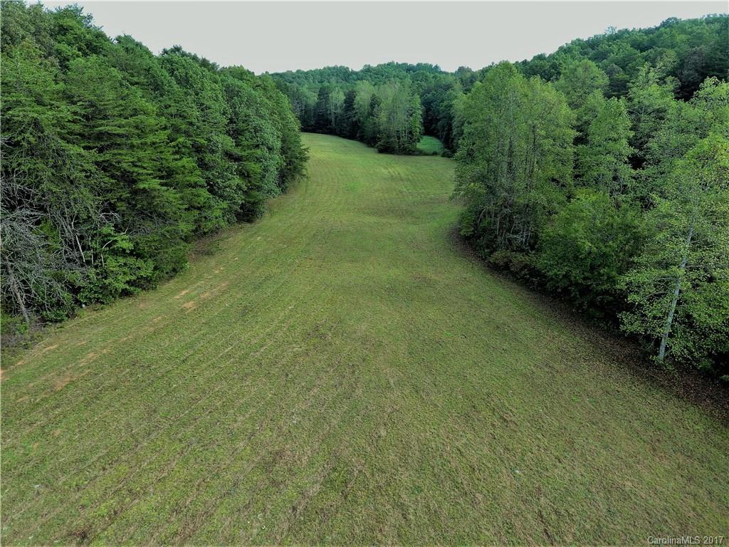 1270 Rock Spring Road Mill Spring, NC 28756 - Photo 3 of 21