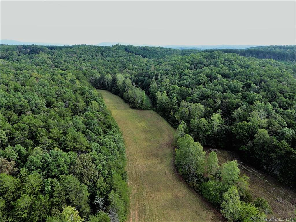 1270 Rock Spring Road Mill Spring, NC 28756 - Photo 5 of 21