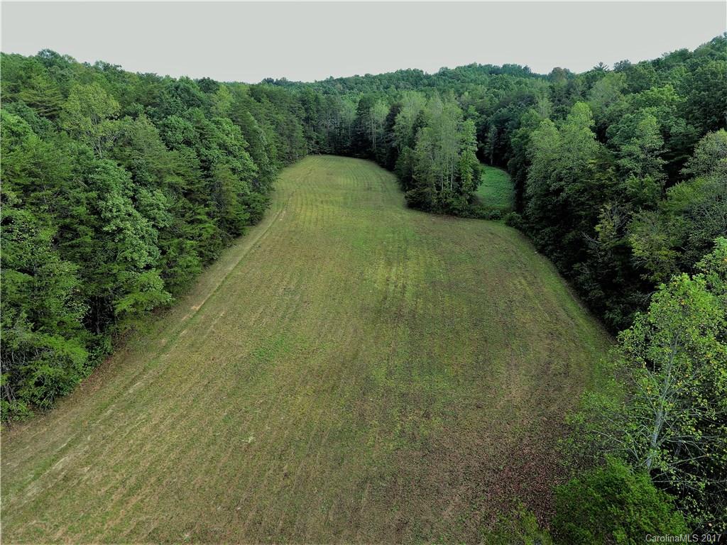 1270 Rock Spring Road Mill Spring, NC 28756 - Photo 7 of 21