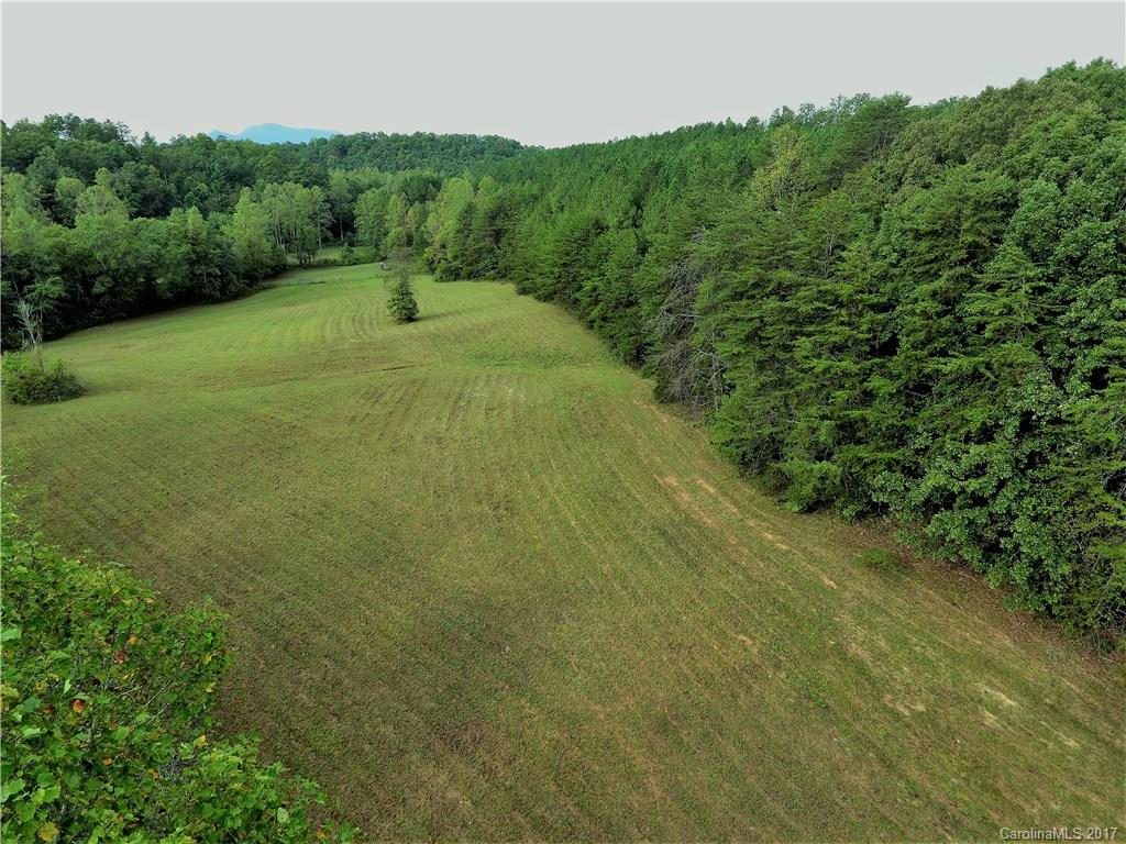 1270 Rock Spring Road Mill Spring, NC 28756 - Photo 9 of 21