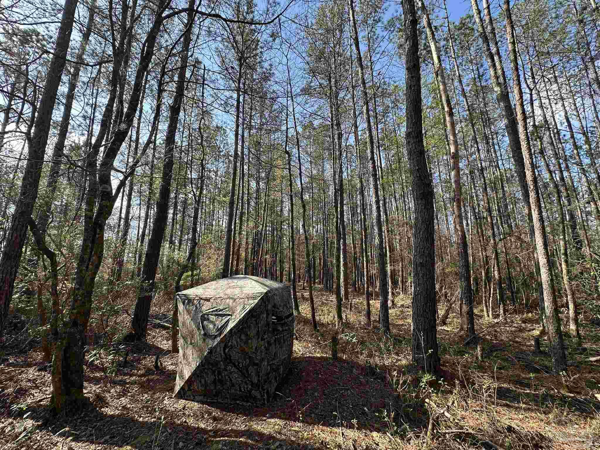 Parcel A Parcel A Snider Road Frisco City, AL 36445 - Photo 12 of 31