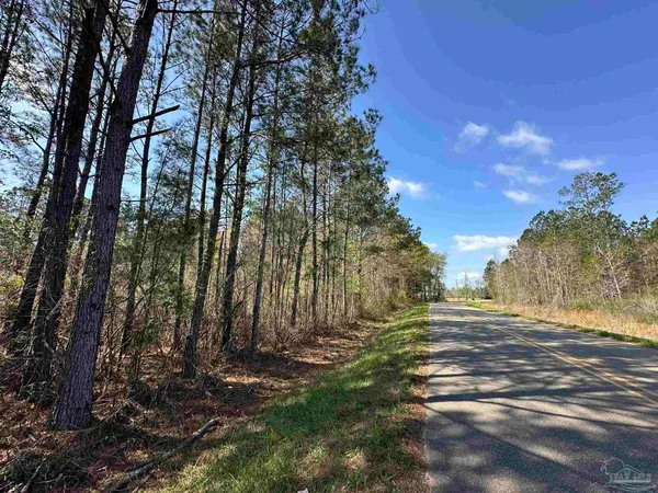 $169,900 | Parcel A Parcel A Snider Road, Frisco City, AL 36445