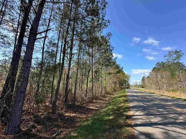$169,900 | Parcel A Parcel A Snider Road, Frisco City, AL 36445