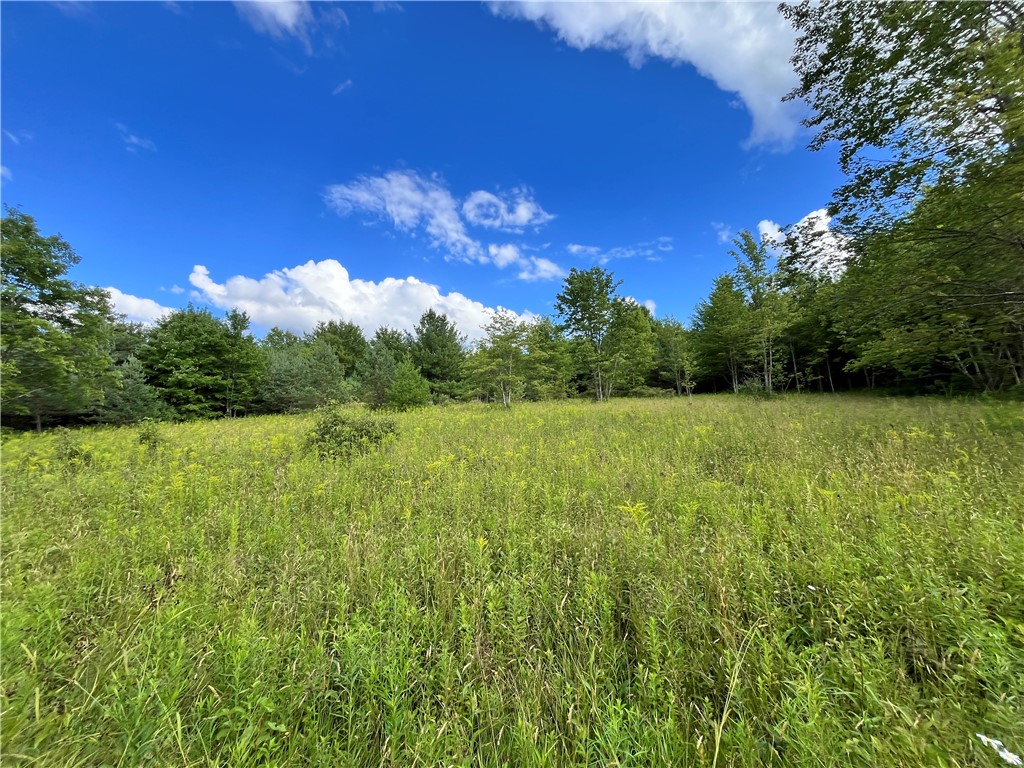 Lot 6 Greenbush Road Erin, NY 14838 - Photo 1 of 1 Gallery Image 1