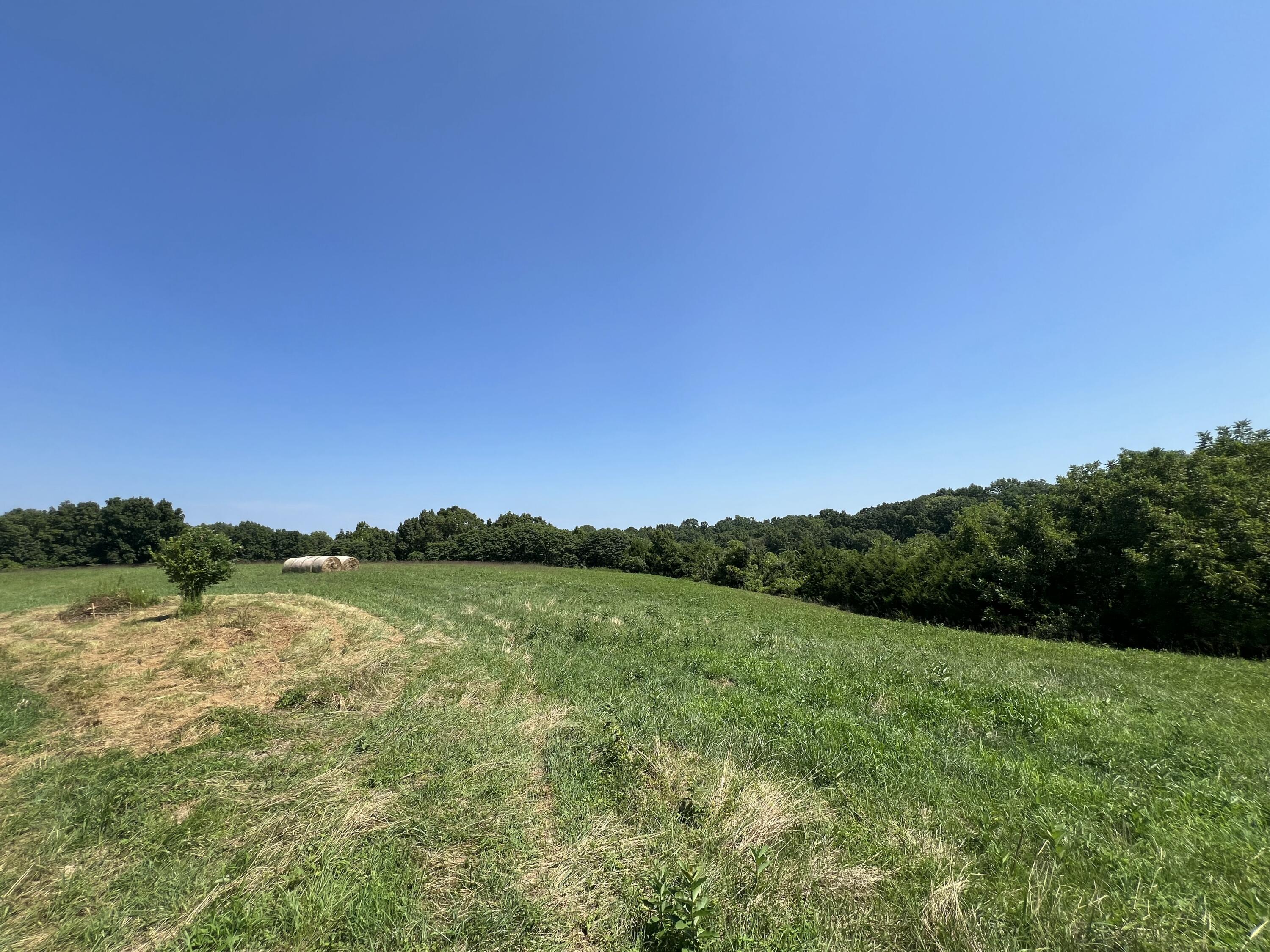 4095 Warsaw Road Dry Ridge, KY 41035 - Photo 42 of 48