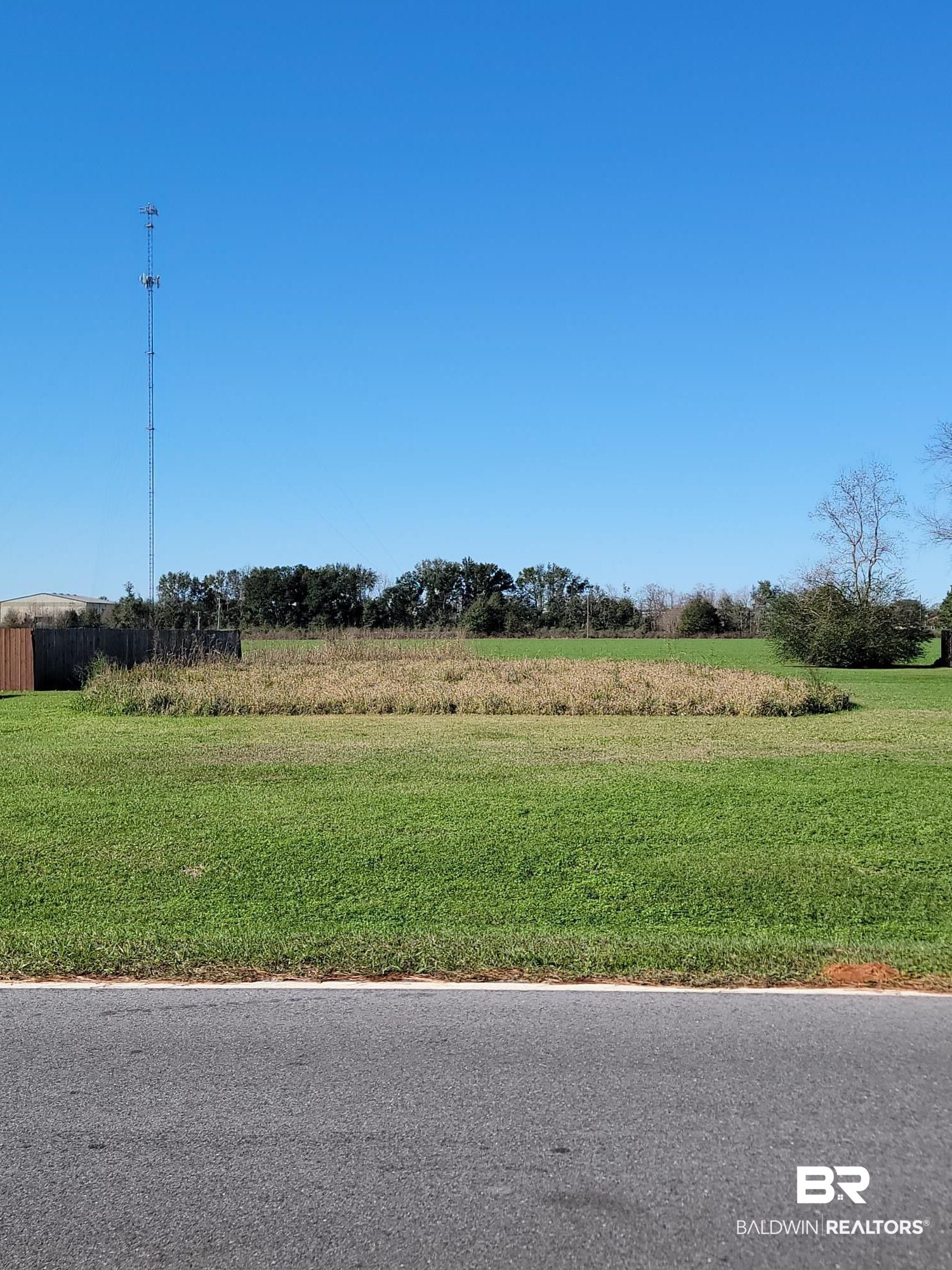 0 Cabinet Shop Road Loxley, AL 36551 - Photo 2 of 6