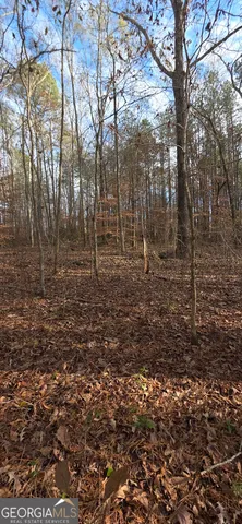 $124,900 | 0 Martin Street, Carrollton, GA 30117