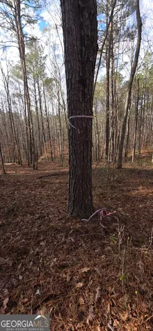 $124,900 | 0 Martin Street, Carrollton, GA 30117