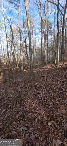 $124,900 | 0 Martin Street, Carrollton, GA 30117