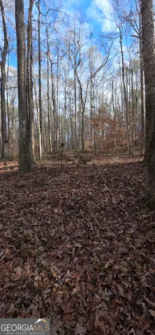 $124,900 | 0 Martin Street, Carrollton, GA 30117