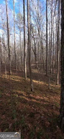 $124,900 | 0 Martin Street, Carrollton, GA 30117