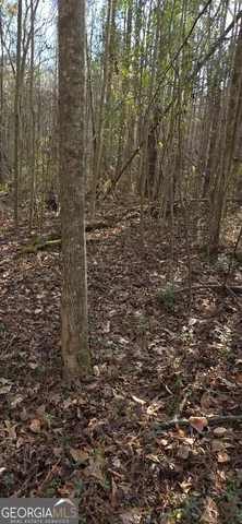 $124,900 | 0 Martin Street, Carrollton, GA 30117