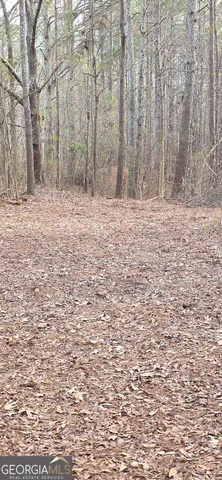 $124,900 | 0 Martin Street, Carrollton, GA 30117