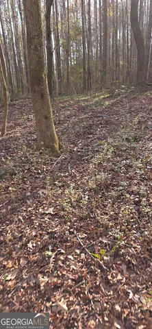 $124,900 | 0 Martin Street, Carrollton, GA 30117