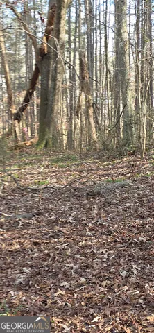 $124,900 | 0 Martin Street, Carrollton, GA 30117