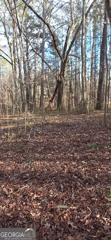 $124,900 | 0 Martin Street, Carrollton, GA 30117