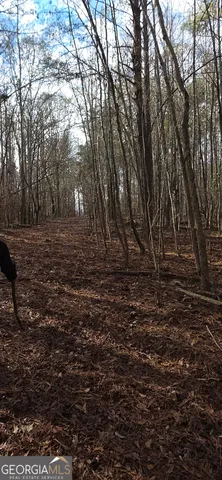 $124,900 | 0 Martin Street, Carrollton, GA 30117