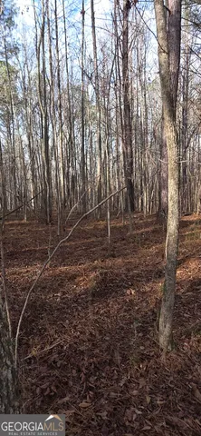 $124,900 | 0 Martin Street, Carrollton, GA 30117