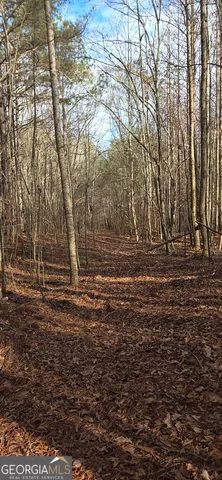 $124,900 | 0 Martin Street, Carrollton, GA 30117