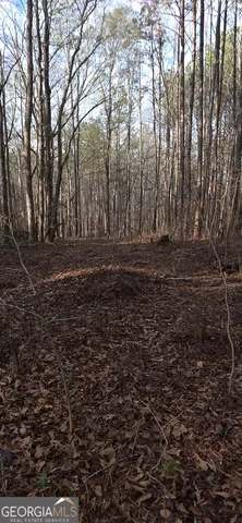 $124,900 | 0 Martin Street, Carrollton, GA 30117