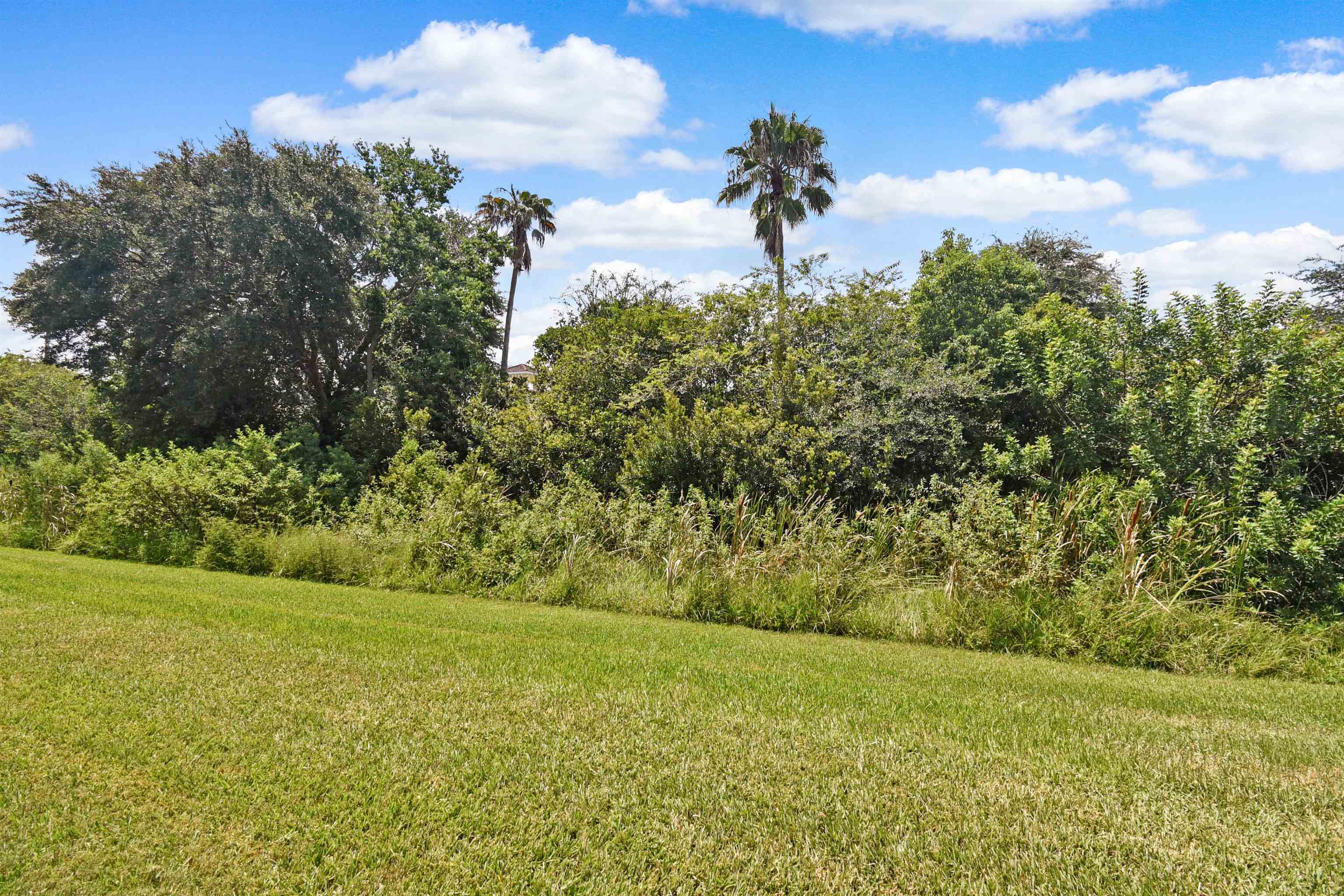 9 Bella Vita Way Ormond Beach, FL 32174 - Photo 31 of 36 a view of a yard with an outdoor space