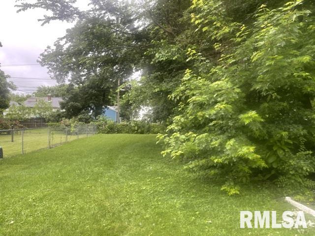 1437 East Division Street Decatur, IL 62526 - Photo 12 of 13