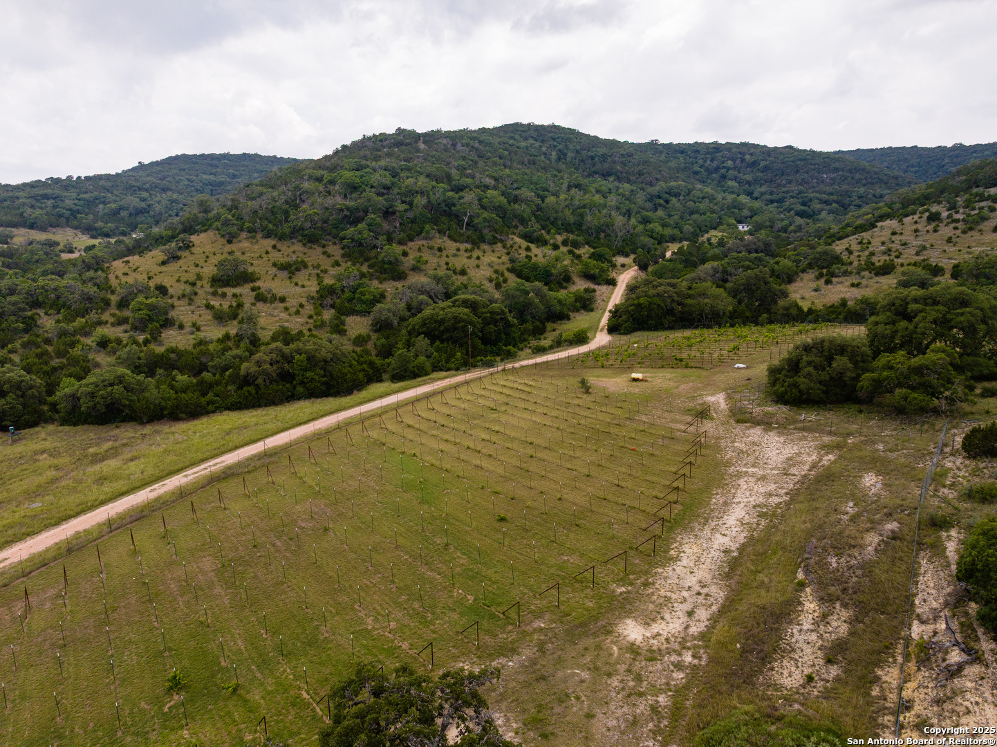 1600 Mickle Creek Road Medina, TX 78055 - Photo 14 of 18 a view of mountain and mountain