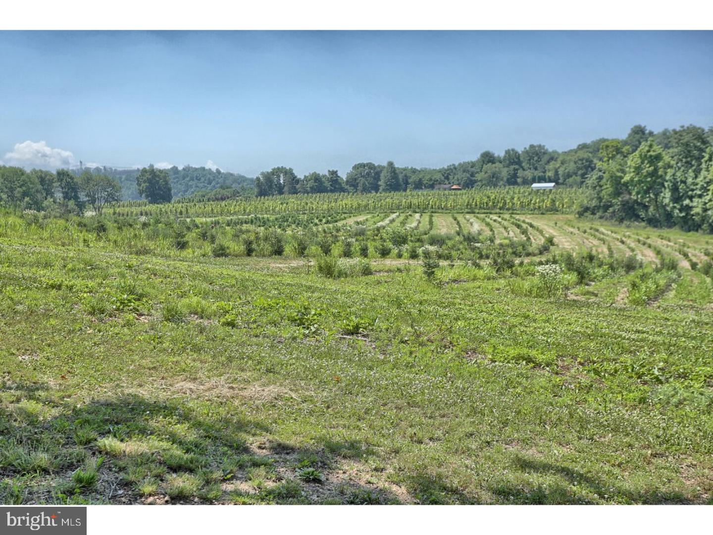 65 Robeson Lawn Road Birdsboro, PA 19508 - Photo 24 of 24 Gallery Image 24