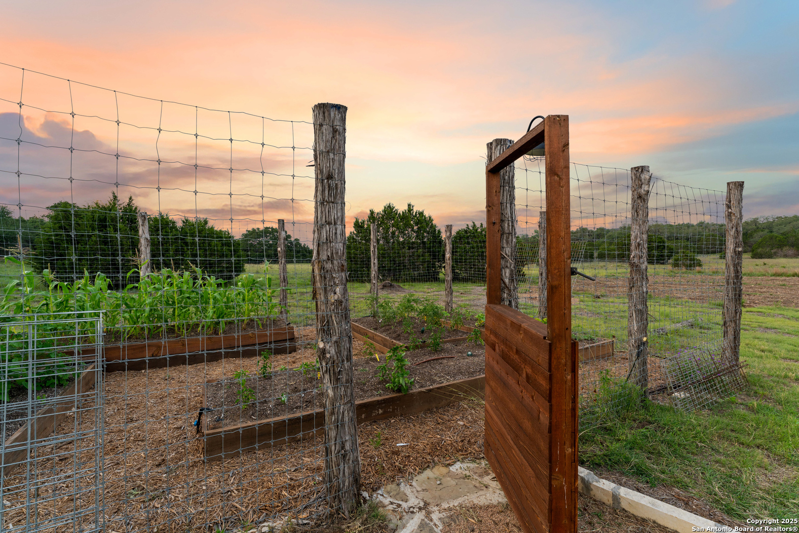 1257 Adyson Rdg Drive Bulverde, TX 78163 - Photo 77 of 95
