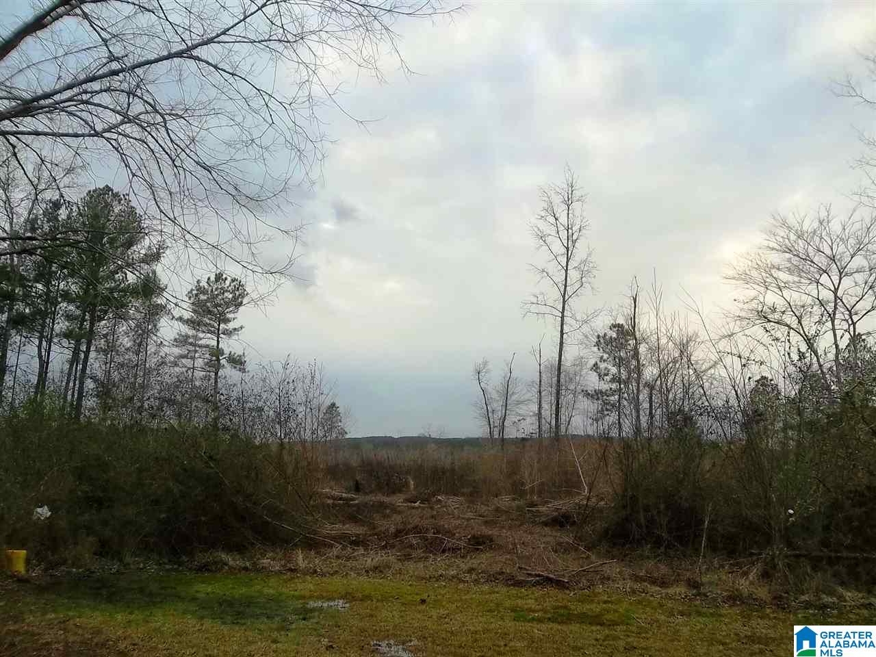 7 County Road, Unit 16 Talladega, AL 35160 - Photo 1 of 1