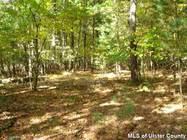 369 Buck Road Stone Ridge, NY 12484 - Photo 2 of 5 a view of yard with green space