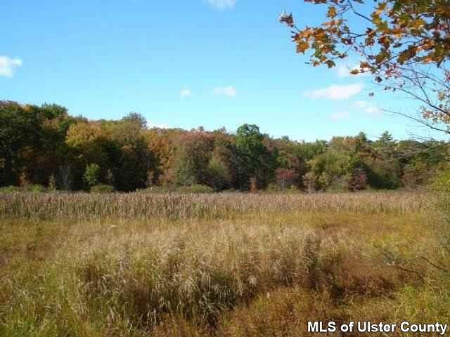 369 Buck Road Stone Ridge, NY 12484 - Photo 3 of 5 a view of a yard