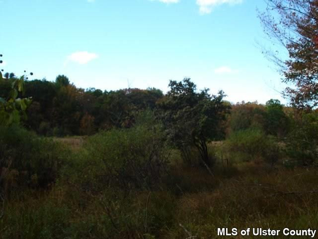 369 Buck Road Stone Ridge, NY 12484 - Photo 4 of 5 a view of a field of grass and trees