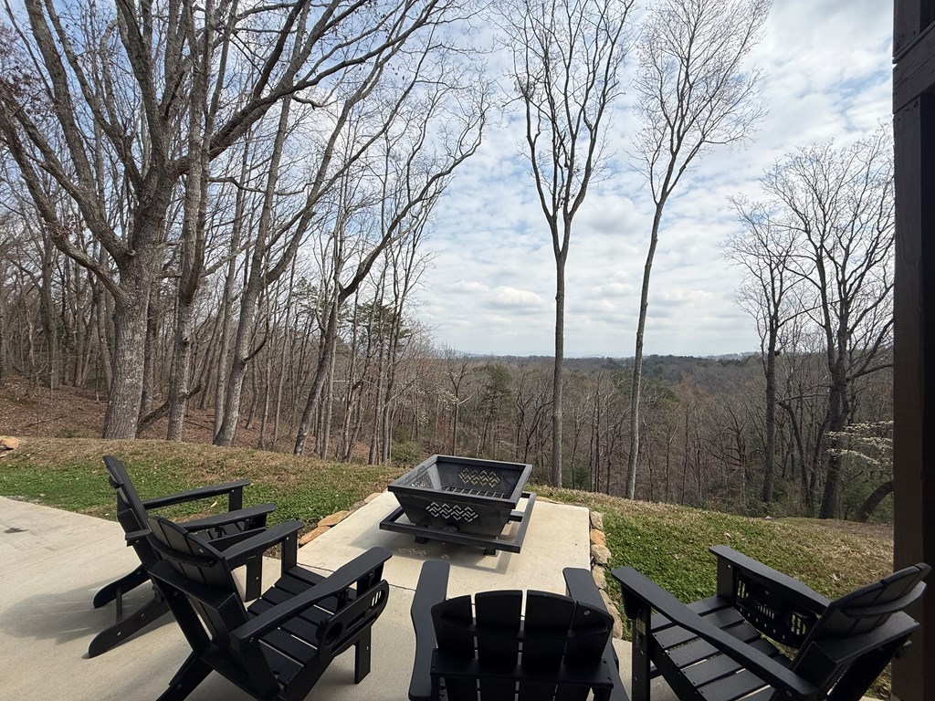777 Talona Mountain Road Ellijay, GA 30536 - Photo 26 of 29