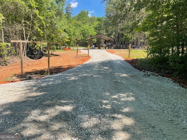 a view of a yard with trees