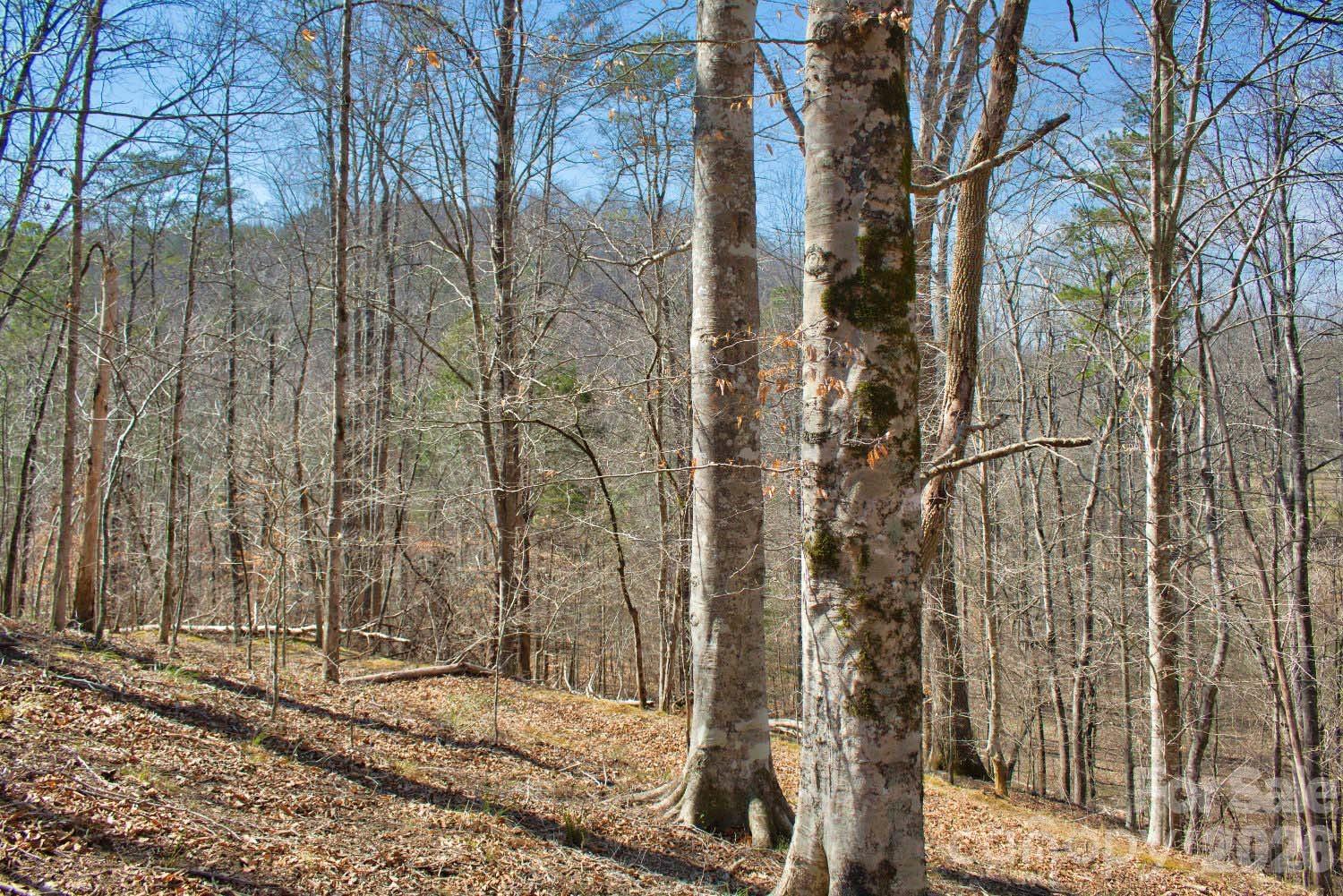 0 Cross Creek Drive, Unit 143 Rutherfordton, NC 28139 - Photo 1 of 5 a view of a entrance
