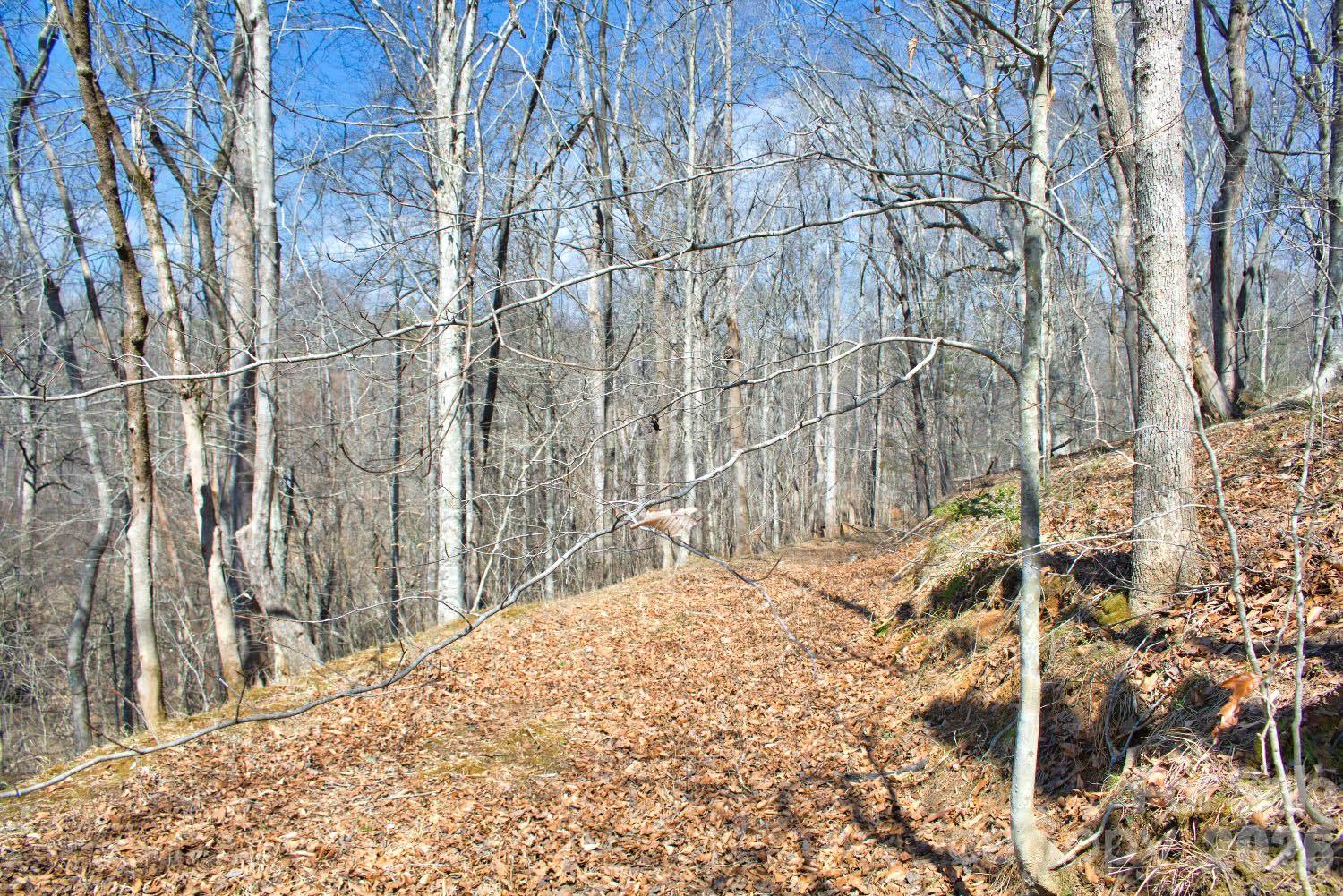 0 Cross Creek Drive, Unit 143 Rutherfordton, NC 28139 - Photo 2 of 5 a view of a backyard of the house