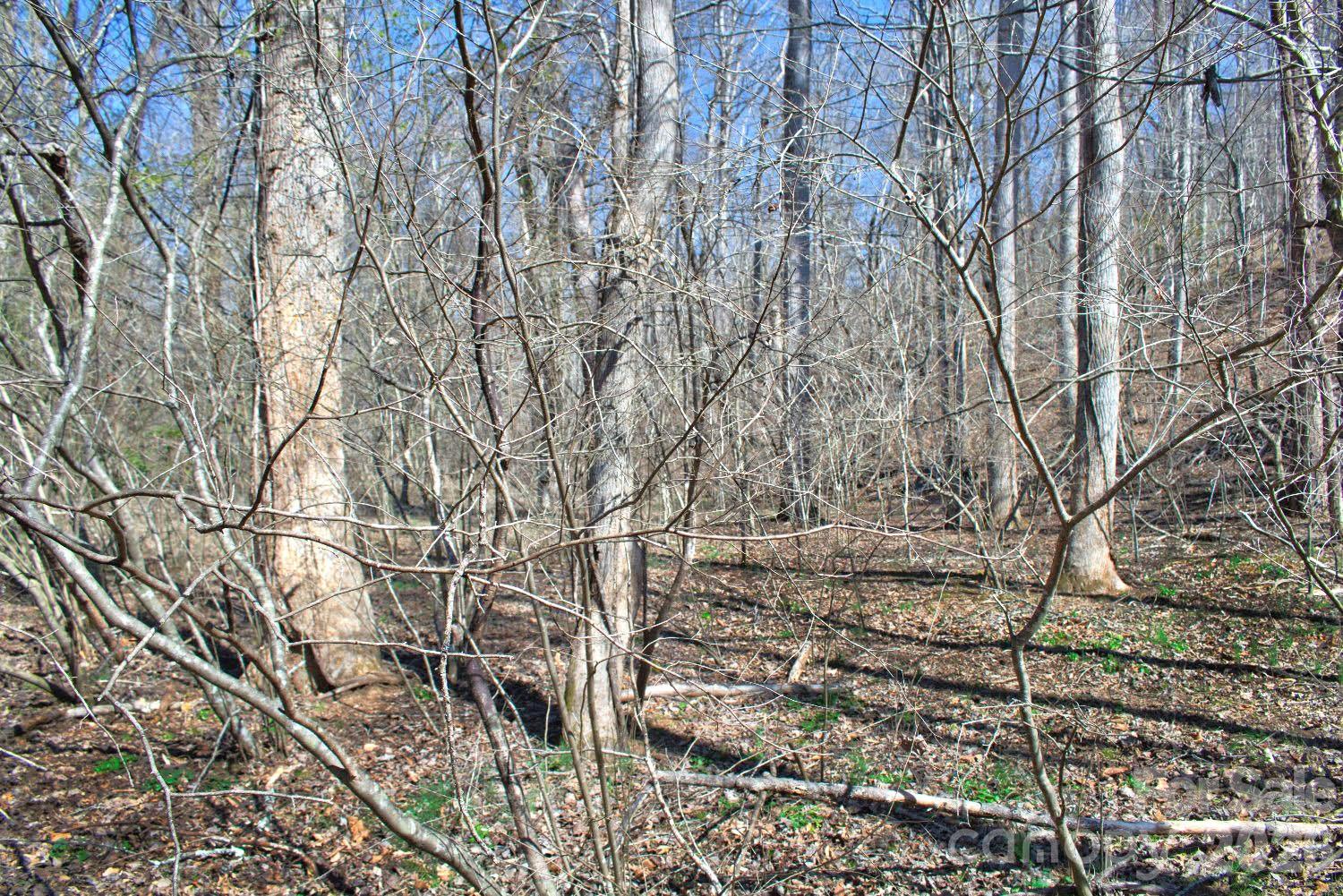 0 Cross Creek Drive, Unit 143 Rutherfordton, NC 28139 - Photo 3 of 5 a backyard of a house
