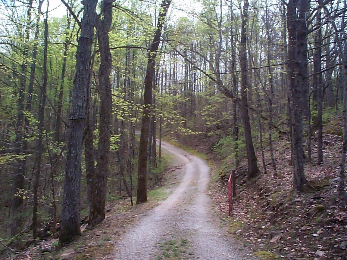 1 Bobcat Road Salt Lick, KY 40371 - Photo 3 of 3 Photo 3