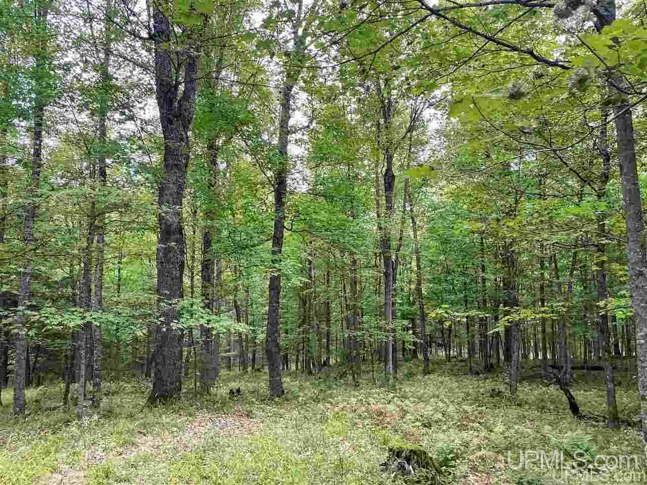 Tbd Tbd Grace Lake Road Watersmeet, MI 49969 - Photo 15 of 16