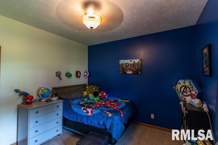 2474 North Reed Station Road Carbondale, IL 62901 - Photo 13 of 56 Gallery Image 13