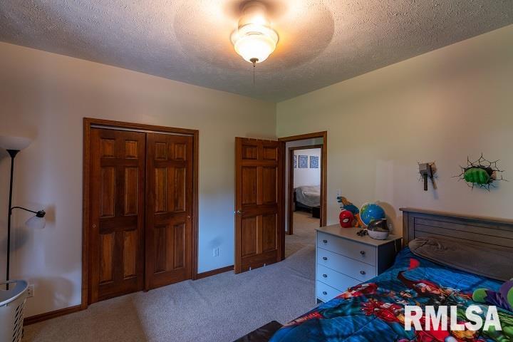 2474 North Reed Station Road Carbondale, IL 62901 - Photo 14 of 56 Gallery Image 14