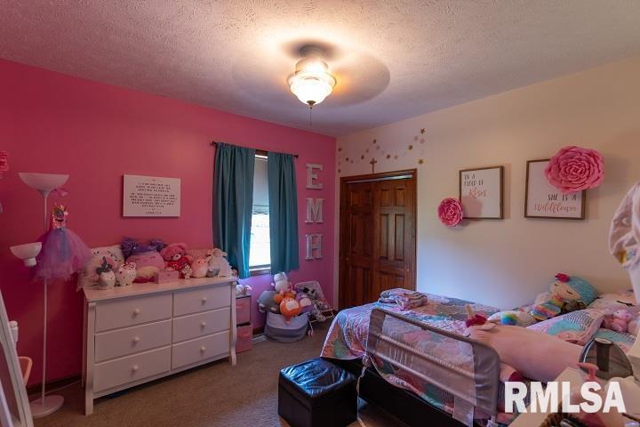 2474 North Reed Station Road Carbondale, IL 62901 - Photo 16 of 56 Gallery Image 16