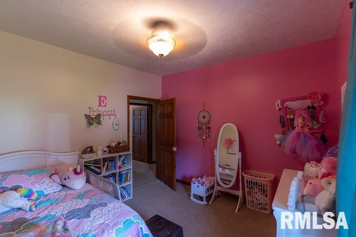 2474 North Reed Station Road Carbondale, IL 62901 - Photo 17 of 56 Gallery Image 17
