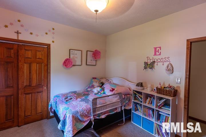 2474 North Reed Station Road Carbondale, IL 62901 - Photo 18 of 56 Gallery Image 18