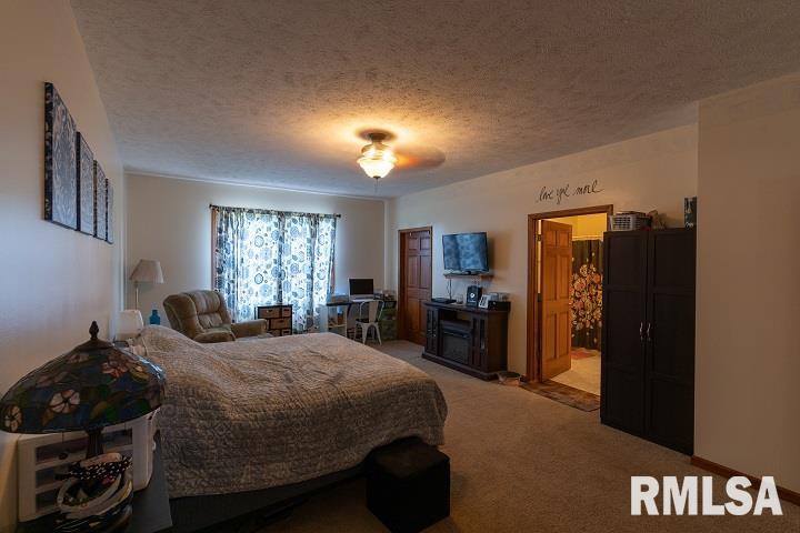 2474 North Reed Station Road Carbondale, IL 62901 - Photo 7 of 56 Gallery Image 7