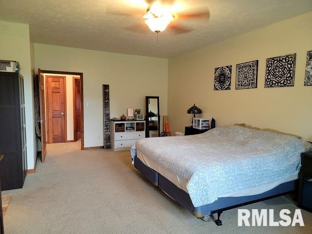 2474 North Reed Station Road Carbondale, IL 62901 - Photo 8 of 56 Gallery Image 8